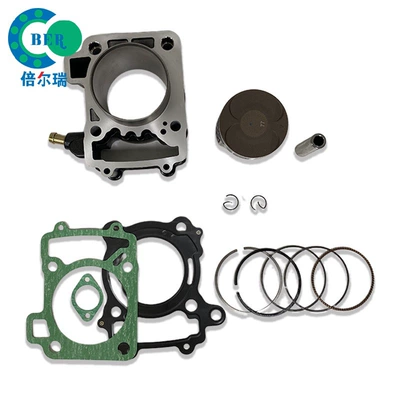 Pulsar 200NS Rouser – Cylinder and parts