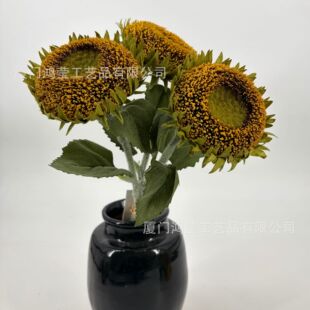 ���տ� ���^����̫ꖻ� ����������ˇ�[�����滨�������ó�Ʒ���b