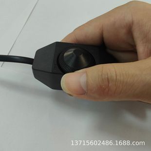 Dimmer Switch Line Halogen Lamp Temperature Adjustment Power Cord Wire Controlled Tungsten Wire Lamp Switch Line 220V Insulation Switch Plug Line