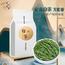 新茶2023珍稀白茶正宗茶叶绿茶明前特一级高山珍稀白茶毛峰茶50g