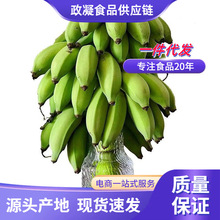 ����ֹ���G���V��С�׽����U ���l2/6����Ƭ���ԾGֲ�㽶�^�pˮ��