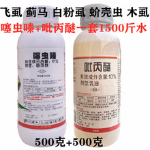 ���x� �����њ��x�����x�����xľʭ򻚤�x���wʭ�E�R�~�s�׷�ʭ