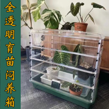 ֲ��B�����l�¿�������������P���N͸���Ӹ��бP���Ұlѿ��