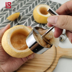 304不鏽鋼梨子抽芯器燉冰糖雪梨去芯器 水果挖孔器蘋果飯去核模具