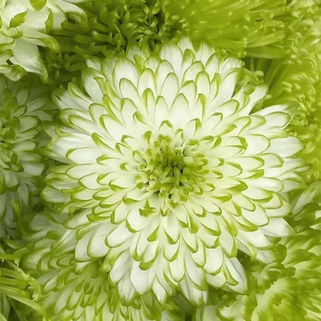 af9856f4b52f6b11653ad463e9aa9c