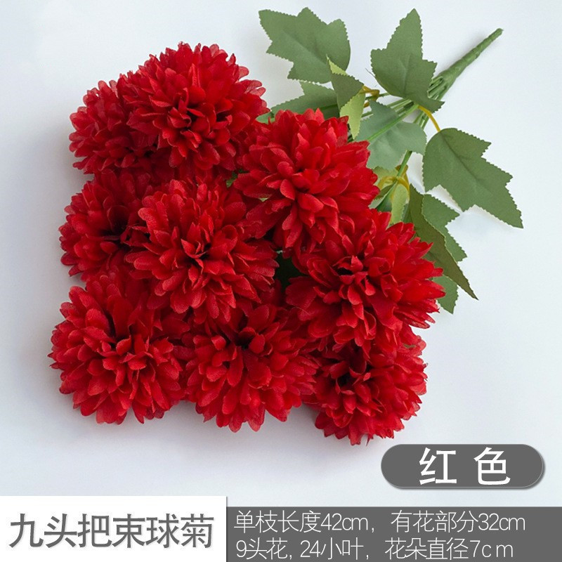 Nine heads red chrysanthemum red