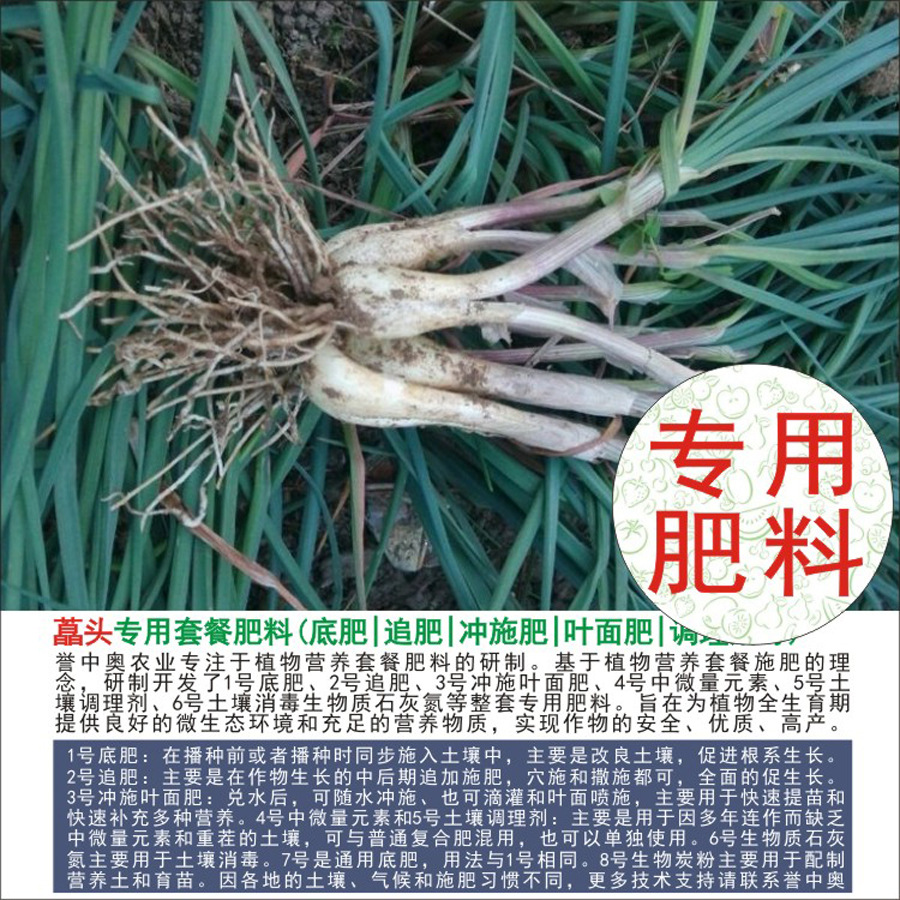 1����ͷˊͷר�÷����л��ʸ��Ϸ�Ҷ���ˮ�ܷʼ�ͥ��̨��ֲ