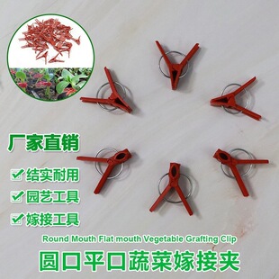 50���߲˼޽ӊA�S�ϊA������ϼ޽ӊA�A��ƽ�����Ӽ޽����ϊA�ӏS