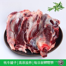 ���ښ�ţ����4�� ����������F����ԭ���r���ţ����ţ��ţչţ