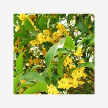 �²ɹ𻨷N���ļ����������¹𻨘�N�ӹ𻨷N���ļ��N���N��