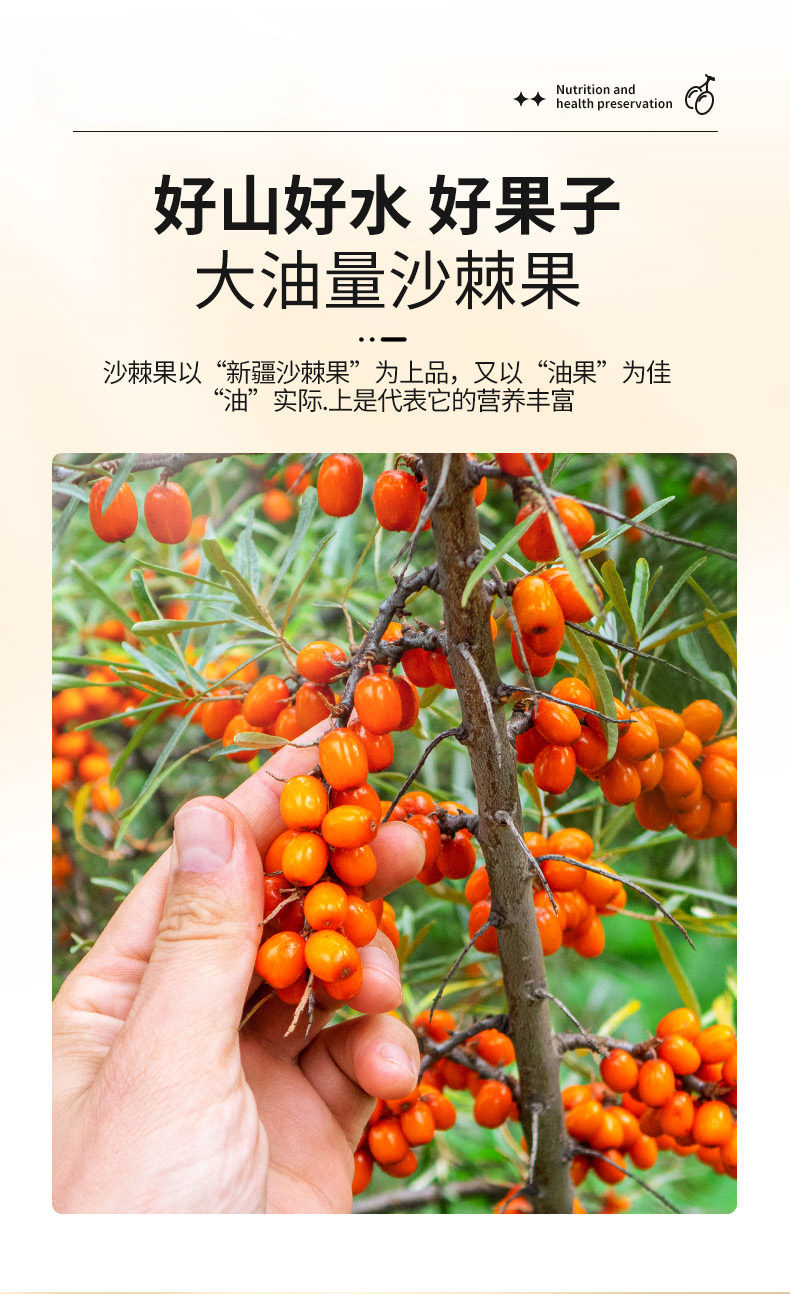 Dried Sea Buckthorn Berries Sha Ji 沙棘 Whole Fruit Tea and Herbal Ingredient 500g key features