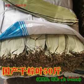 粽子叶批发端午干商用厂家包端午粽子粽叶野生粽叶野生斤大麦太保
