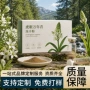 长白打样万年青虎眼万年青