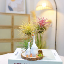 �՚��P��ɽˮ��@����Z(�S+�t+�G)�o�����˾Gֲ����W�t�k���҃�