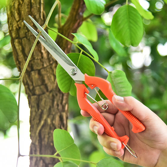 Garden Tools Stainless Steel Pruning Shears Floral Bonsai Grafting Scissors Garden Scissors Picking Fruit Scissors