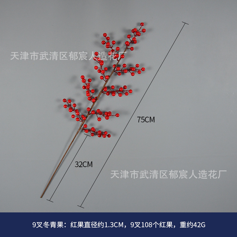 104 9叉冬青果.jpg