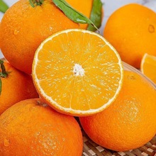 正宗爱媛38号果冻橙手剥脐橙现摘鲜果皮薄汁多产地直发鲜果冻橙子