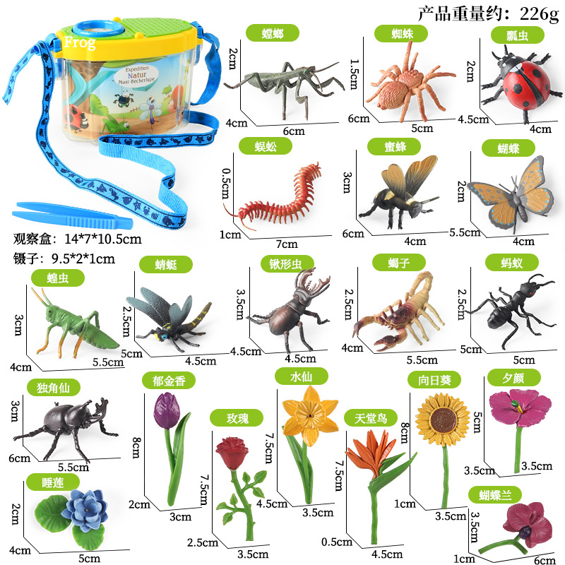Caja de observación + Insectos HFM 12 tipos A + Set de flores artificiales 8 tipos