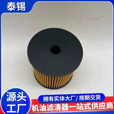 Filter Element Suitable for Wrangler – Oil filter