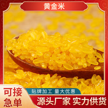 新货黄金米黑龙江黄金米大米东北玉米胚芽五谷杂粮粗粮主食玉米