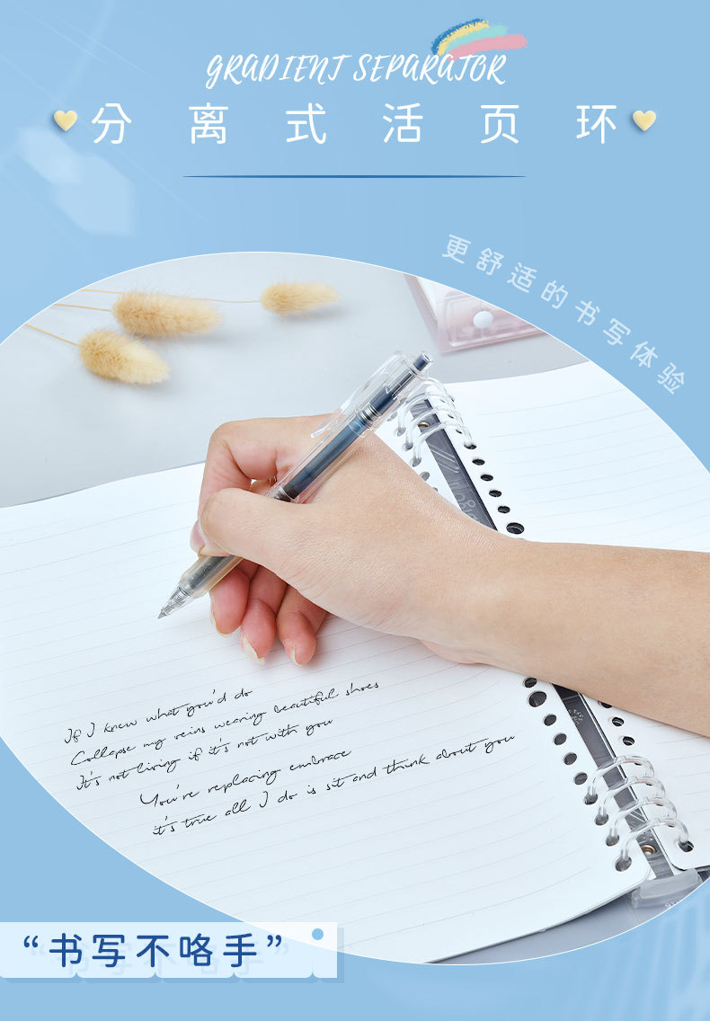 Nakabayashi Zhonglin Hippo Island limitado libro de hojas sueltas Simple estilo ins papel de hojas sueltas engrosado B5 libro de hojas sueltas