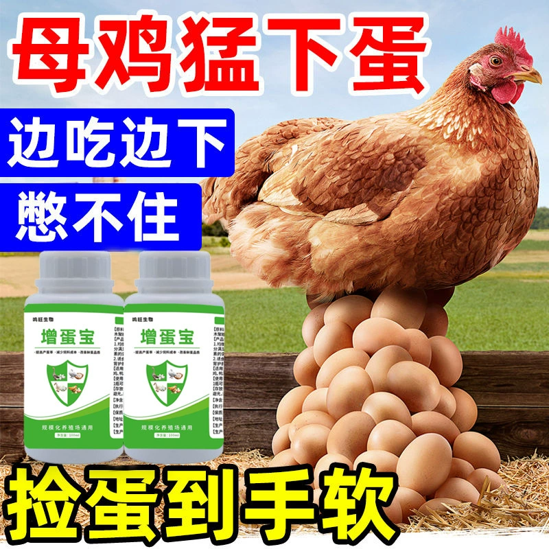 Скидка на птицу, курицу, утку, гуся и птицу