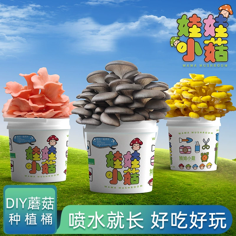 Грибная бочка для посадки в горшке Забавный балкон детский DIY Pleurotus ostreatus культура съедобный грибной мешок коробка палочка семейный