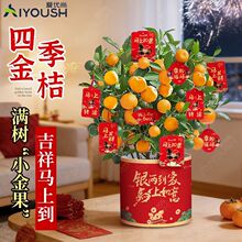 ���������ļ�������Ԏ�����ʳ���҃��̨�Gֲ��ؔ�ͶY����]