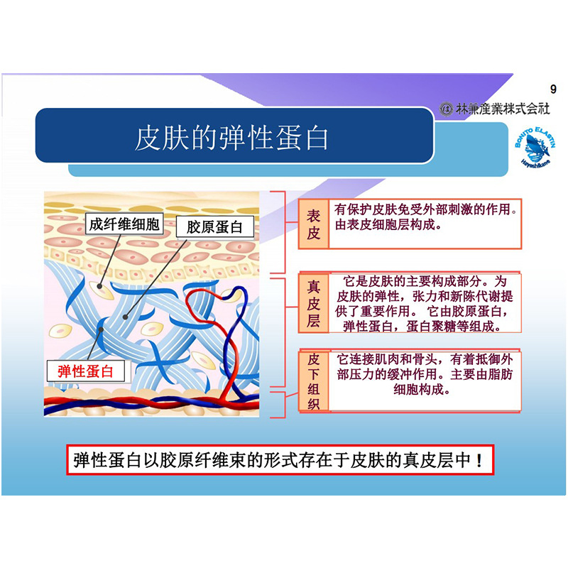 �ձ��ּ����㵯�Ե�����������������㶯����ˮ�ⵯ�Ե����ķ�