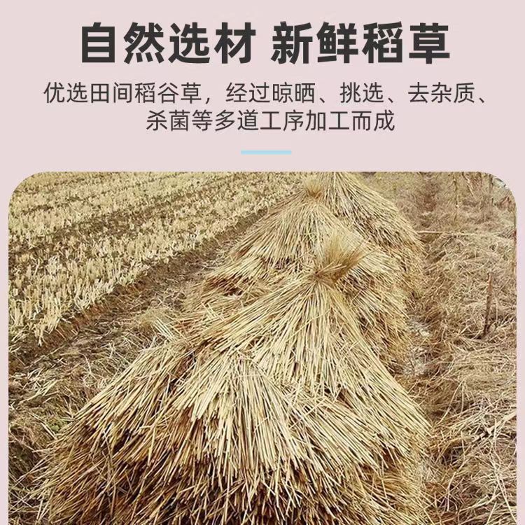 微信图片_20230216125718