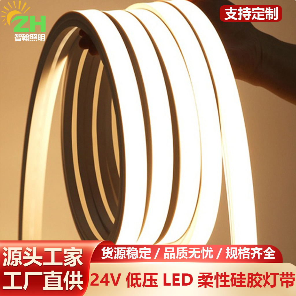 Cinturón de lámpara LED 12V24V bajo voltaje silicona flexible correa de lámpara suave se puede personalizar monocromático colorido RGB iluminación de línea image 1