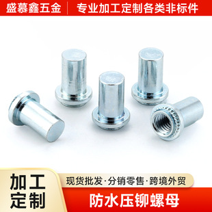 �S�ҬF؛̼䓉��T��ˮ��ĸ�ܷ������k��C��������B�Ӿo�̼����l