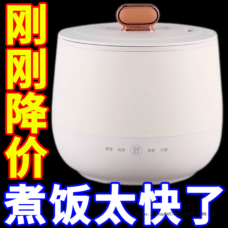 German Household Smart Rice Cooker Mini Rice Cooker Multi-Functional Fully Automatic Student Dormitory Electric Cooking Pot Electric Wok