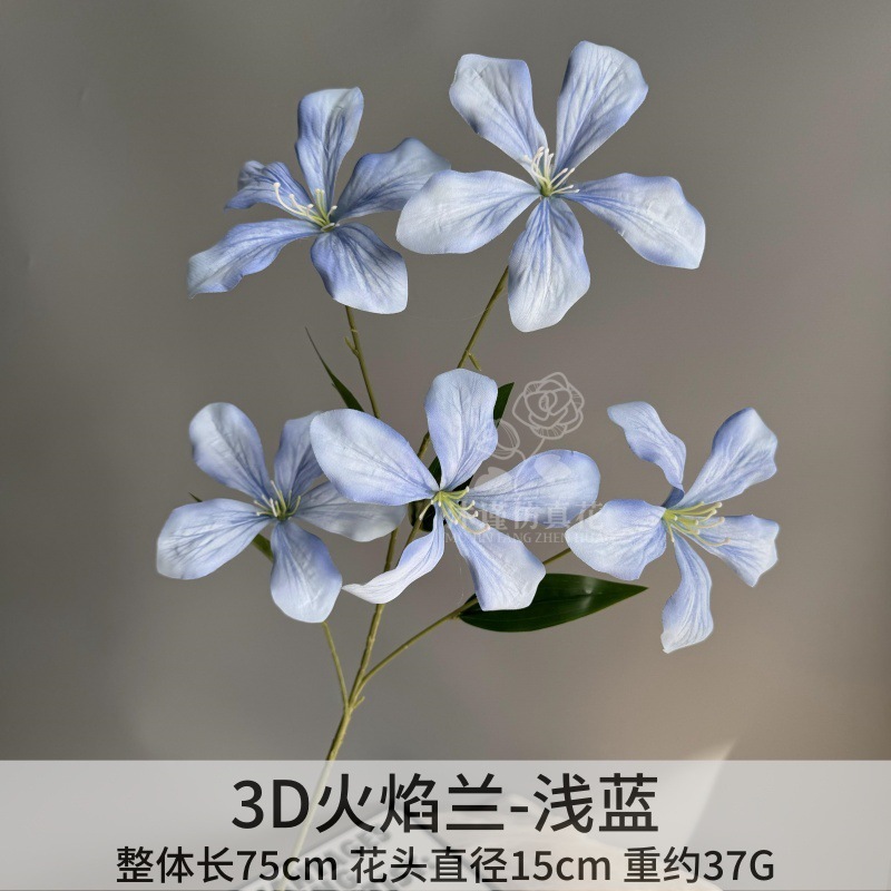 불꽃 난초 - 하늘색