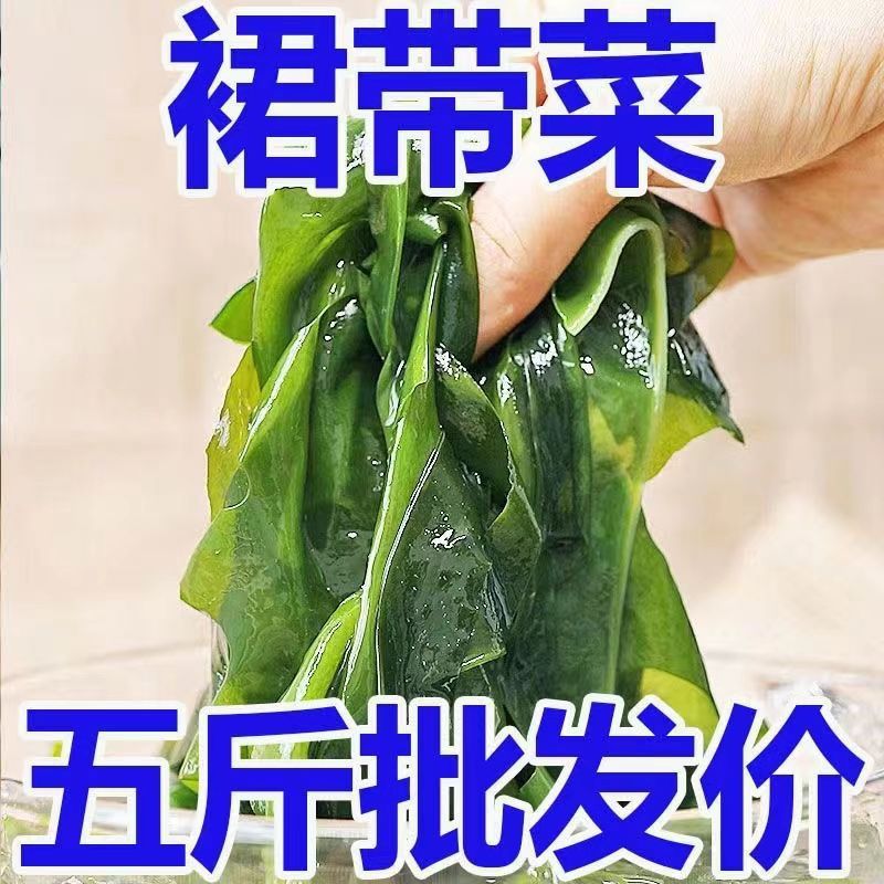 裙带菜盐渍海白菜海藻菜海带凉拌菜麻辣烫火锅食材厂家批发代发