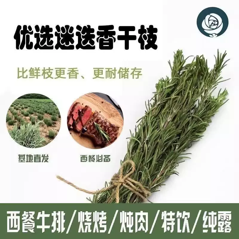 迷迭香新鲜迷迭香干枝 百里香料调料西餐牛排马鞭草酮迷迭香枝条