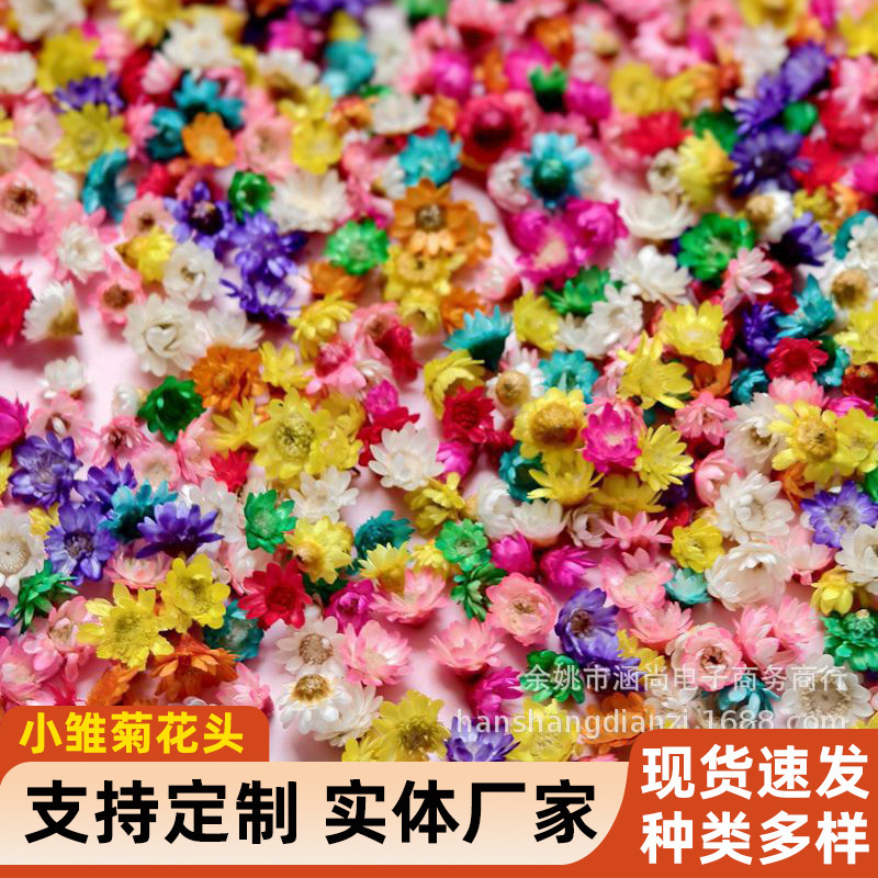 Brazil normal small star flower head small daisy flower head nail art nutrition oil dried flower filler cross-border Amazon supply Brazil normal small star flower head small daisy flower head nail art nutrition oil dried flower filler cross-border Amazon supply