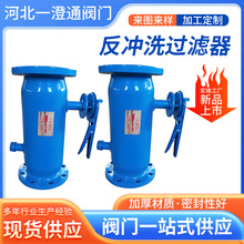 立卧式反冲洗过滤器快速排污过滤设备法兰直通管道除污器自动排污