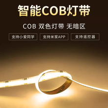 �׼ӾG��COB���pɫ�؟o�O�{��֧���׼ҾG��homekit����app