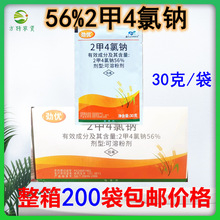 ���������c 2��4�ȼ{ ����4���c С����~�ݳ��݄�30������200��