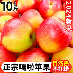 ���u���r�����O��10�����ˮ��������t��ʿ������ǳ�ƽ������