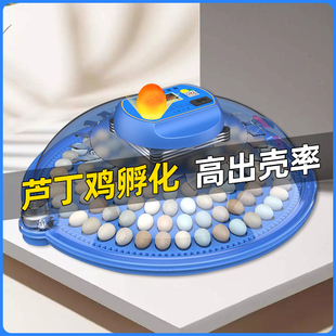 Incubator Small Household Fully Automatic Intelligent Bird Egg Rutin Chick Egg Incubator Small Flying Saucer Incubator Incubator