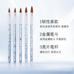 Monja manicure pens, cross-border supply of 5 manicure crystal pens, carved pens, sequin pole manicure brush set