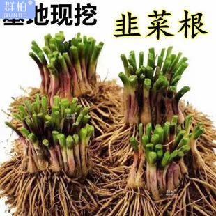 ���جF�����l�²˸����ϸ����~�t���ļ��������̨�߲�����Gֲ