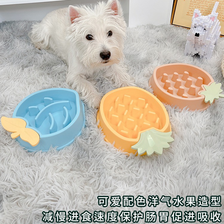 Dog slow food bowl
