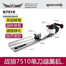 ����7510�ε����޾G�h�C�@ˇ�޼�6010�p�����;G�h�C�@�ִ�֦��