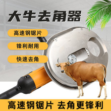 ţȥ늄иȥǙCȥţǓĥCׁ늙CȥBֳ