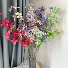 ���򻨻�����滨����װ��·�����Ż��ı�����ǽ�����쾰��Ӱ����
