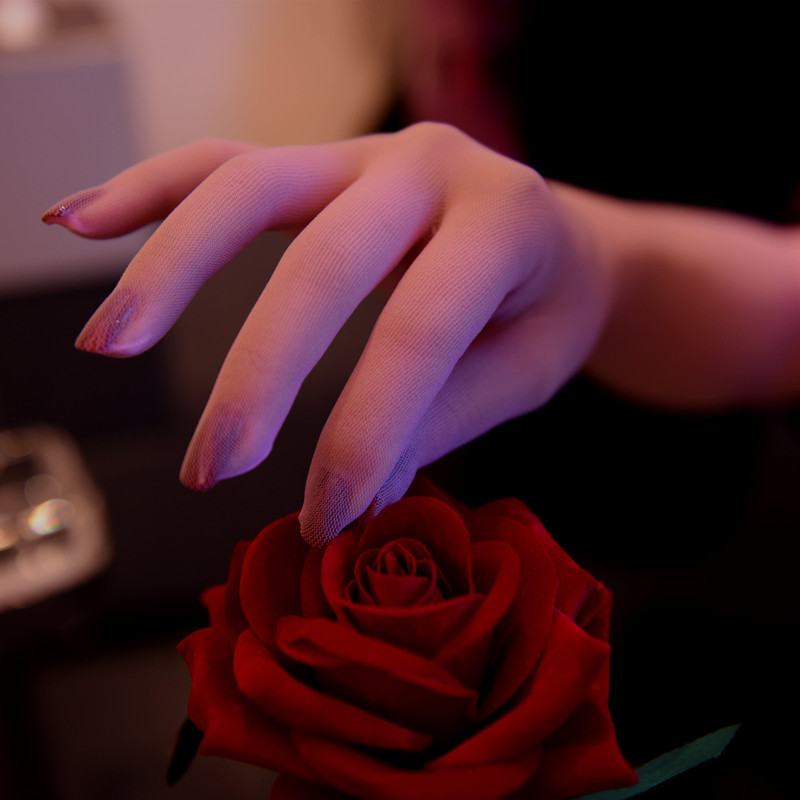 Fábrica al por mayor transfronterizo de comercio electrónico dedicado delgado de cinco dedos medias guantes sin costuras anti-enganche de terciopelo de boda guantes