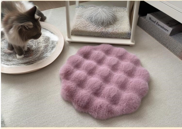 거품 된장 분말